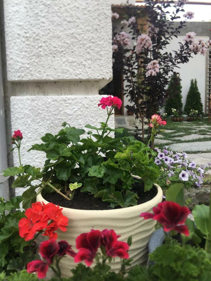 My Garden Hotel Tbilisi Luaran gambar