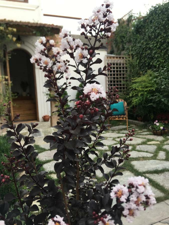 My Garden Hotel Tbilisi Luaran gambar